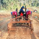 황금알 농장 이미지