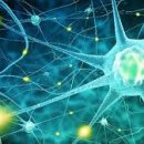 미래건강 이미지