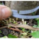 정열농장 이미지