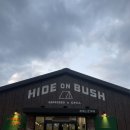 하이드온부쉬 이미지