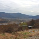 웅비농장 이미지