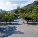 향림오토캠핑장 이미지