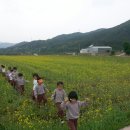 건강마을체험장 이미지