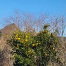 울진군온정면선구보건진료소 | 경남 남해 다녀왔습니다 - 설흘산(21.12.25)