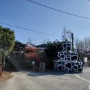 우리목장(1) | 청주 내수 다래목장 체험 후기 :: 35개월 아기랑 피자만들기,젖소건초주기 체험