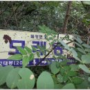 한금 Daum카페