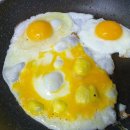 청계축산 이미지