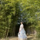 서랑목장 | 4/9 - 4/10 전주 여행 기록