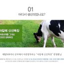 아침에 신선목장 이미지