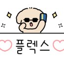더달당 이미지