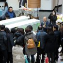 물고기(물과의 만남 이미지