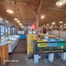 나미공방 | (26.01) 나가사키 그곳을 가다 v3-2. Musigamaya, 나미노유 아카네, 오바마온천 찜가마, 나가사키...