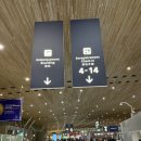 세금골 | ✈️ 🇫🇷✨에어프랑스 프리미엄 이코노미 탑승 후기 (+파리 시내에서 샤를드골공항 가는법_대중교통 RER B선)