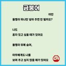 이안유치원 이미지