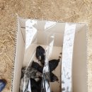 부여청계농장 이미지