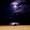 혼불작은도서관 | 달그림자 / 이하