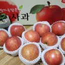 영승농장 이미지