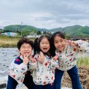 건축사사무소 산들 이미지