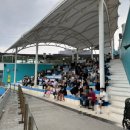 벨루가 | 거제 씨월드 아이들과 돌고래 벨루가 관찰 내돈내산 후기