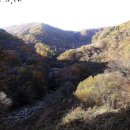 추성마을 이미지