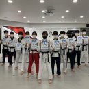 인하코리아 태권도 이미지