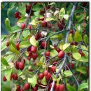 자란만마을 이미지