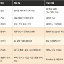 (주)파워홀딩스3태양광발전소 | OCI 홀딩스: 태양광을 넘어 ESS·우주까지 시장이 원하는 방향을 먼저 읽은 기업
