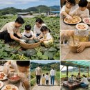 회포마을 티스토리