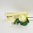 에이에스케어 이미지