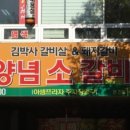 김박사갈비살