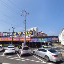 [충청남도 당진] 삽교천 드라이브 코스 추천 ! 무료 드론쇼 &amp; 내돈내산 모듬회, 조개구이 찐맛집 🔥