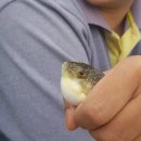 신전선착장 이미지