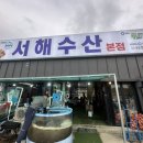 영민식당 | 서해수산 본점 대하구이 새우구이 영종도 맛집_세영민