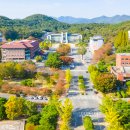 동국대학교(WISE) 불교문화대학원 이미지