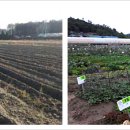 서해안농장 이미지