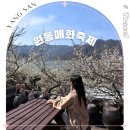 원동역 관광안내소 | 경남 양산 원동매화축제 순매원 미나리 원동역 기차여행