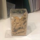 바이펫짐 이미지