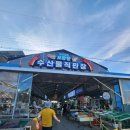 어은돌 오토캠핑장, 모항항 수산물 횟집 추천 [내돈내산 후기]