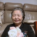 몽당케이크