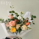 수수꽃달 이미지