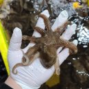 대일수산 이미지