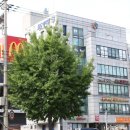명일 한방삼계탕 후기