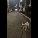 이쁘개멋있개 네이버블로그