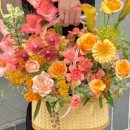 고운동_세종중앙타워 이미지