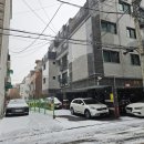 욜로클린 이미지
