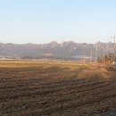 북일면사무소 이미지