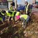 호원2동 행정복지센터 이미지