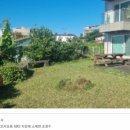 서호동-19 이미지