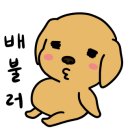 송추부일 부대찌개 이미지