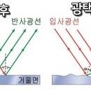 테로손일산점 이미지